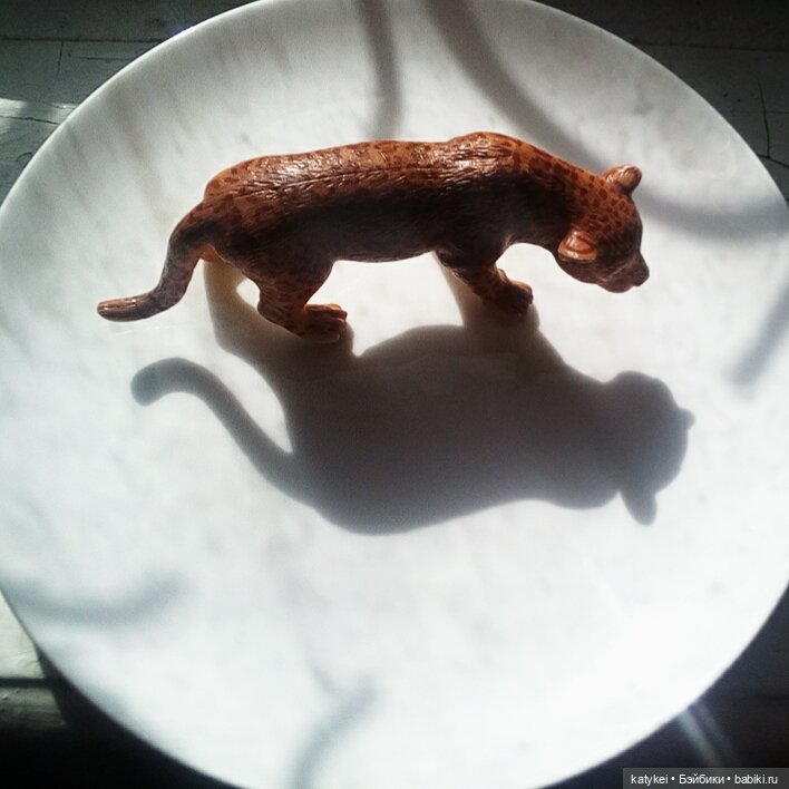 МК Путь Мягких Лап. Миссис Бэйбики 2020 (фото 6)