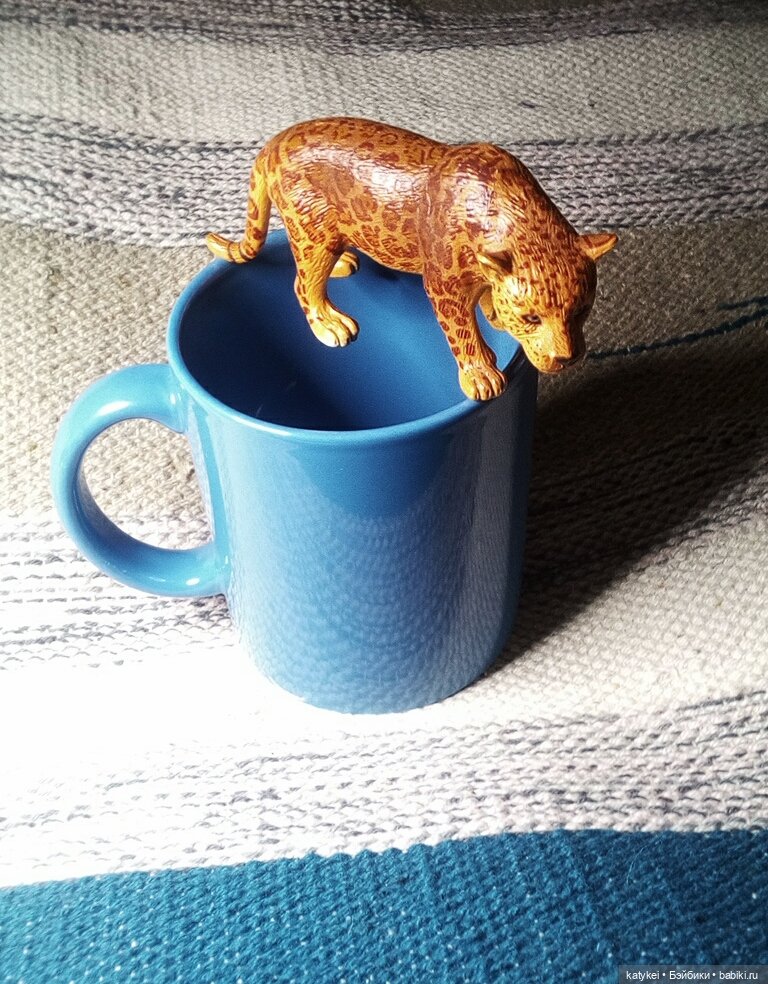 МК Путь Мягких Лап. Миссис Бэйбики 2020 (фото 2)