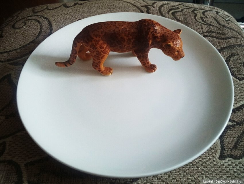 МК Путь Мягких Лап. Миссис Бэйбики 2020 (фото 5)