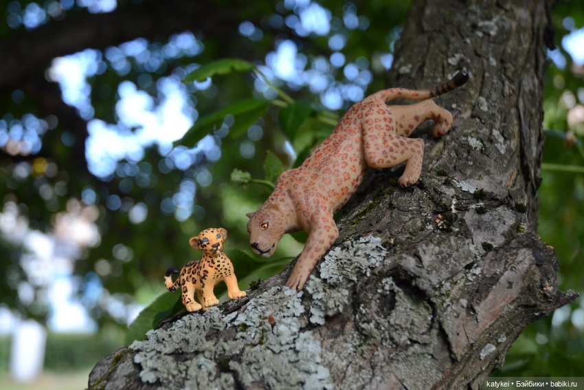 Семейные фото. Миссис Бэйбики 2020 (фото 9)