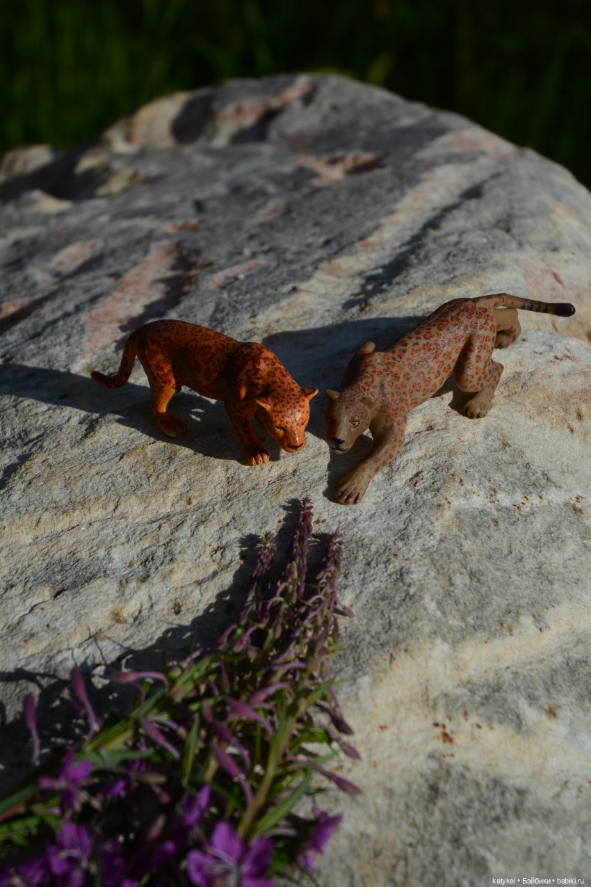 Семейные фото. Миссис Бэйбики 2020 (фото 4)