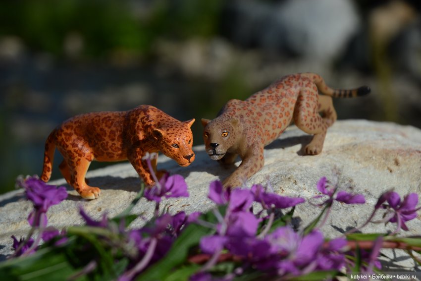 Семейные фото. Миссис Бэйбики 2020 (фото 5)