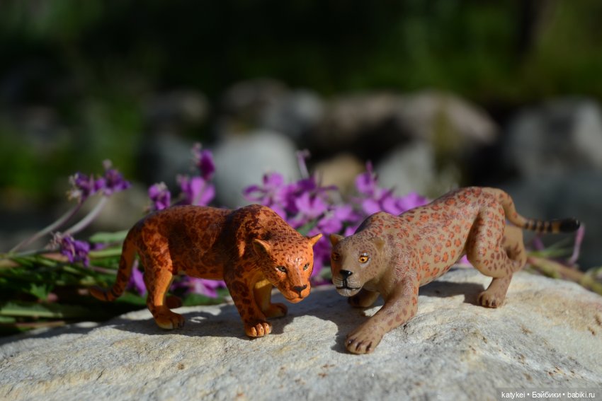 Семейные фото. Миссис Бэйбики 2020 (фото 3)