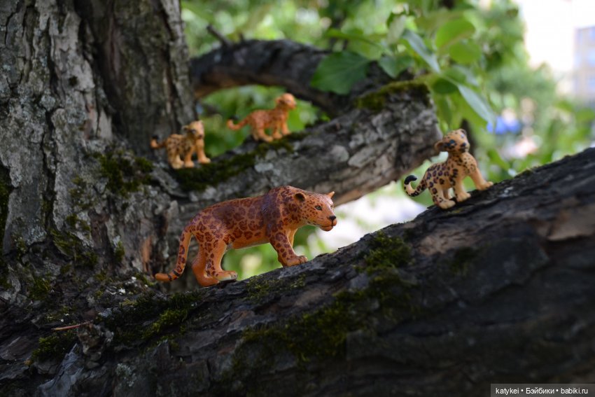 Семейные фото. Миссис Бэйбики 2020 (фото 7)