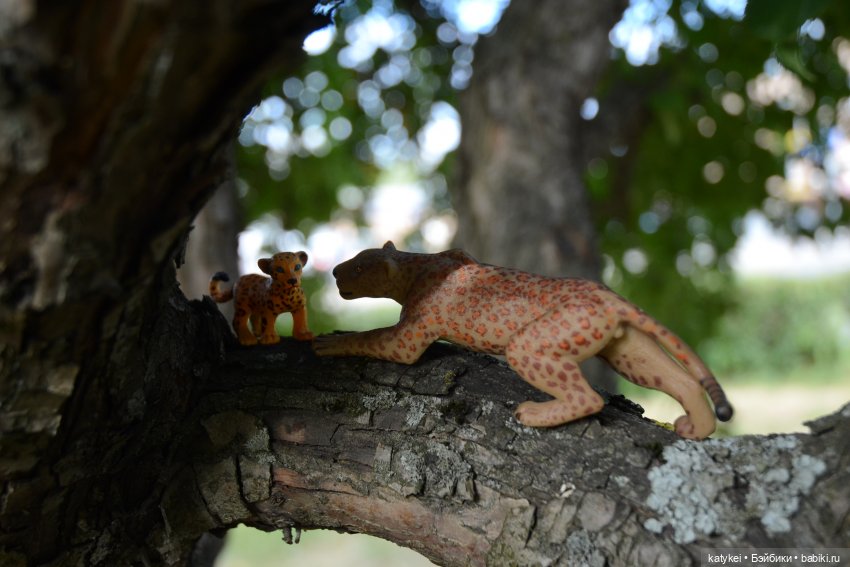 Семейные фото. Миссис Бэйбики 2020 (фото 8)