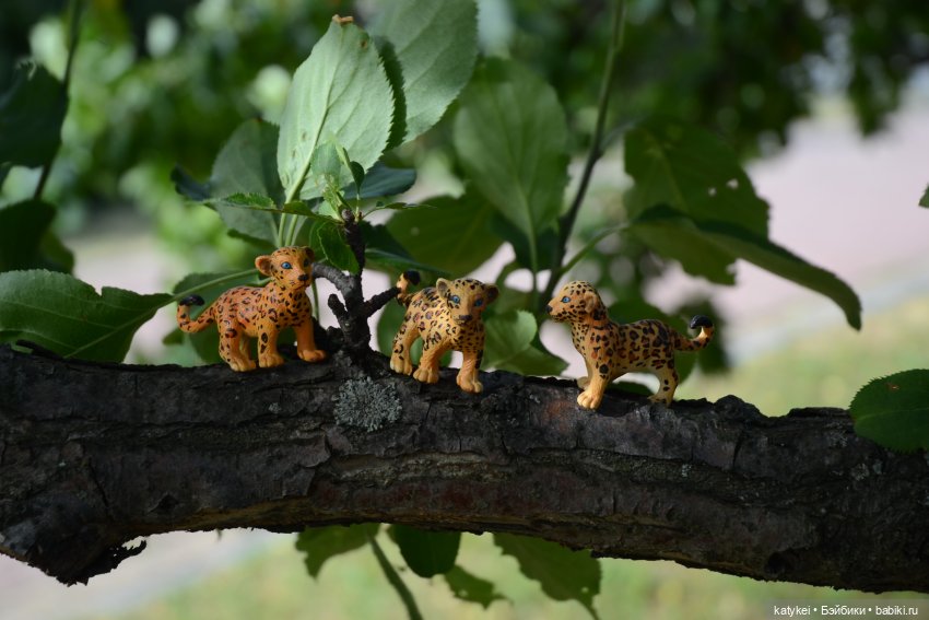 Семейные фото. Миссис Бэйбики 2020 (фото 6)