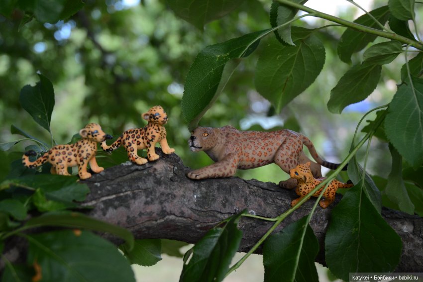 Семейные фото. Миссис Бэйбики 2020 (фото 10)