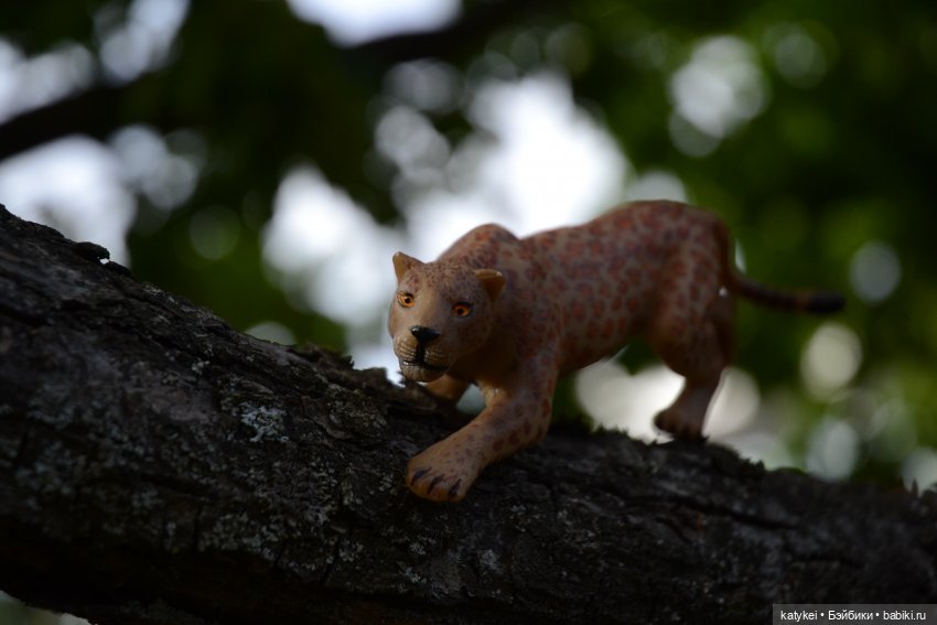 Семейные фото. Миссис Бэйбики 2020