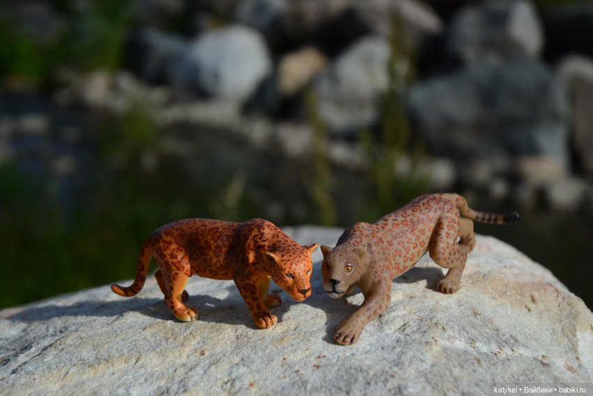 Семейные фото. Миссис Бэйбики 2020 (фото 2)