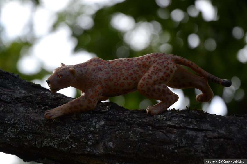 Семейные фото. Миссис Бэйбики 2020