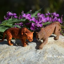 Семейные фото. Миссис Бэйбики 2020