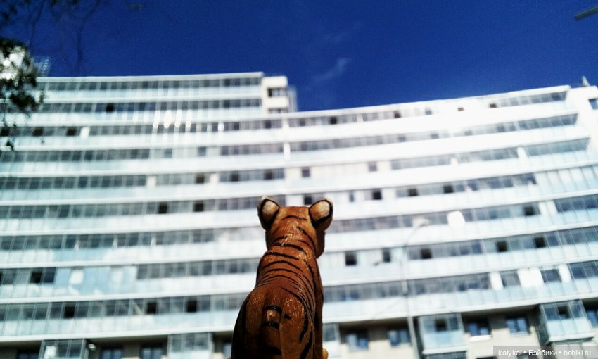 День Тигра (и мемы) — Интересные игрушки и фигурки (разное): редкие (фото 5)