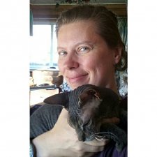 День Котиков 8 августа