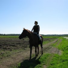 День Лошади