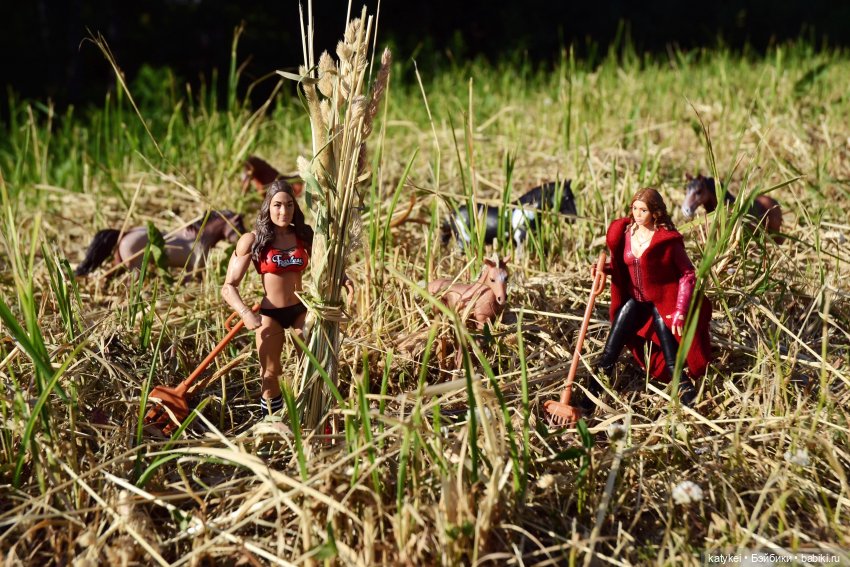 Сенокос (постконкурс) — Разные шарнирные куклы (не БЖД): редкие (фото 3)