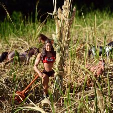 Сенокос (постконкурс)