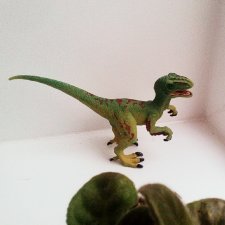 Вся Эволюция в Один Год