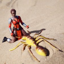 Первый Контакт (постконкурс)