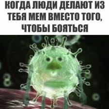 Вирусы и МЕМы