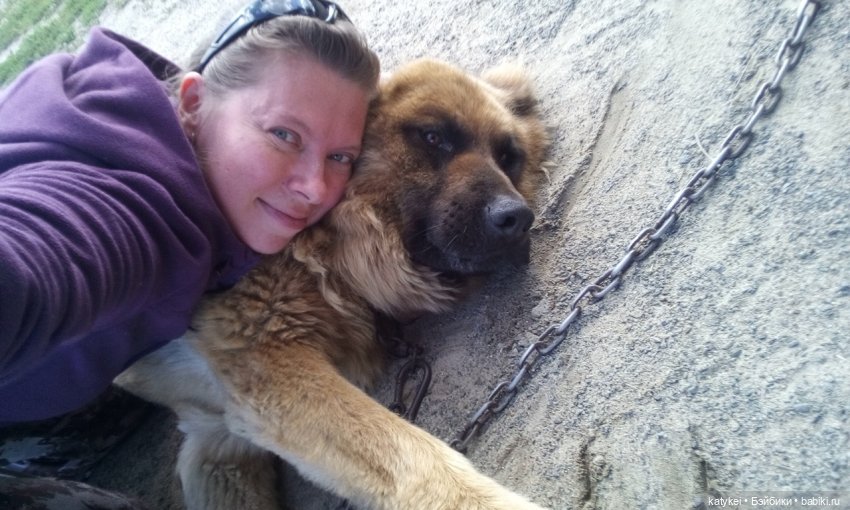 День домашних животных — Интересные игрушки и фигурки (разное): редкие (фото 2)