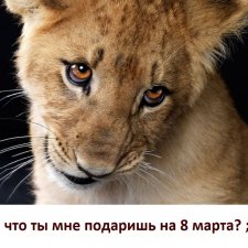 МАРТриархат