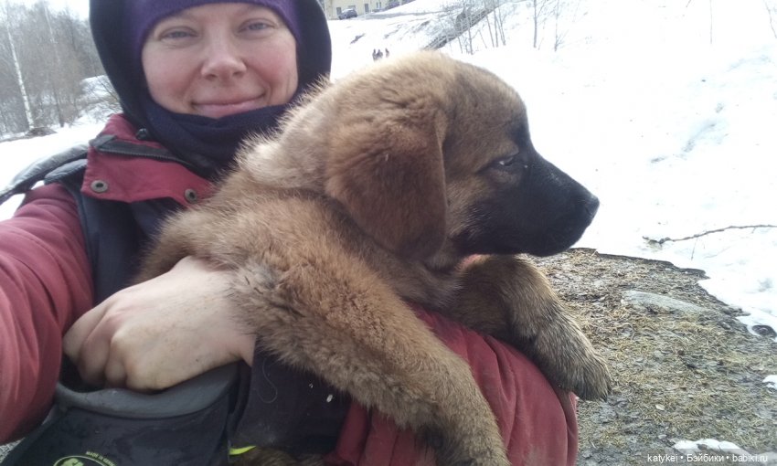 Весна на конюшне | Бэйбики Весна на конюшне — Болталка и разговоры обо всем: жизнь