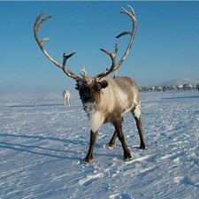 Так вот ты какой — Сменаформат