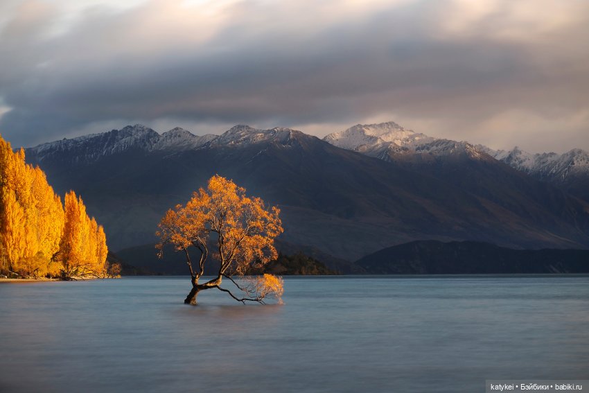 Новозеландка готовится к весне