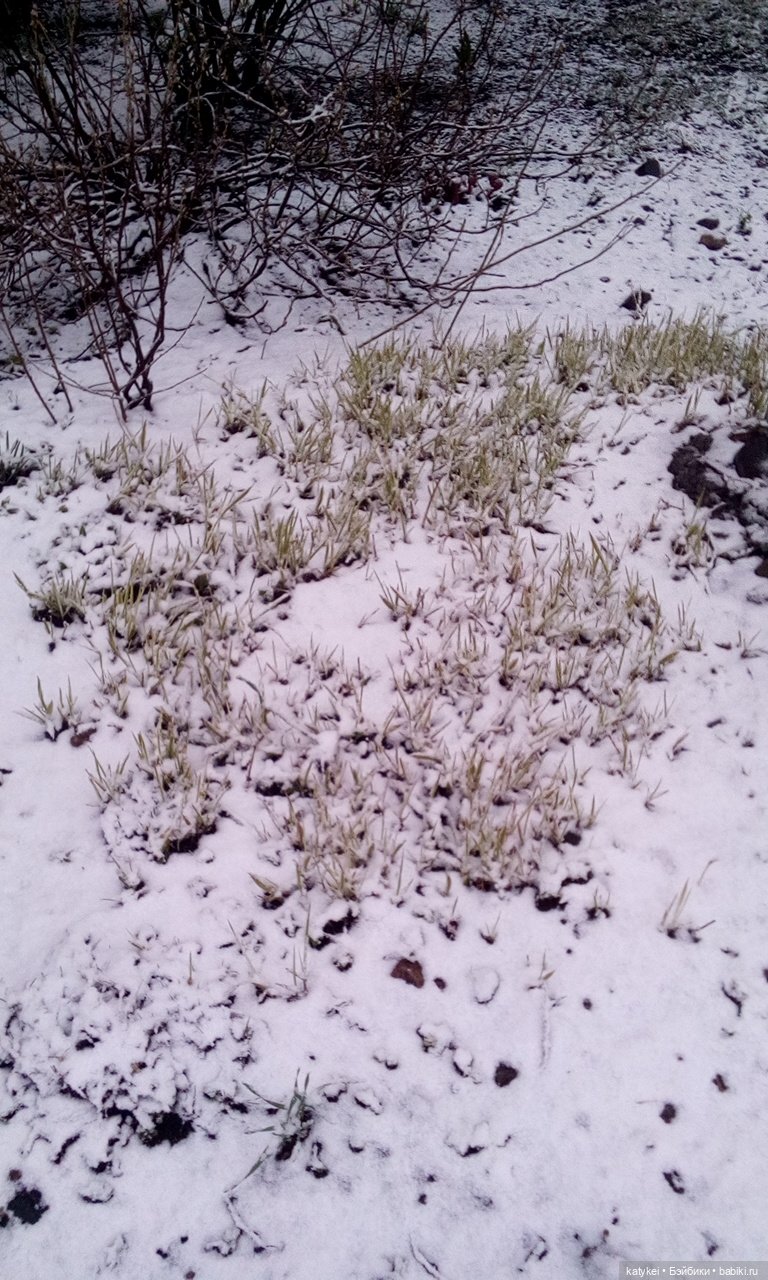 День Земли — Болталка и разговоры обо всем: жизнь (фото 3)