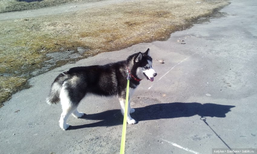 День Земли — Болталка и разговоры обо всем: жизнь (фото 6)