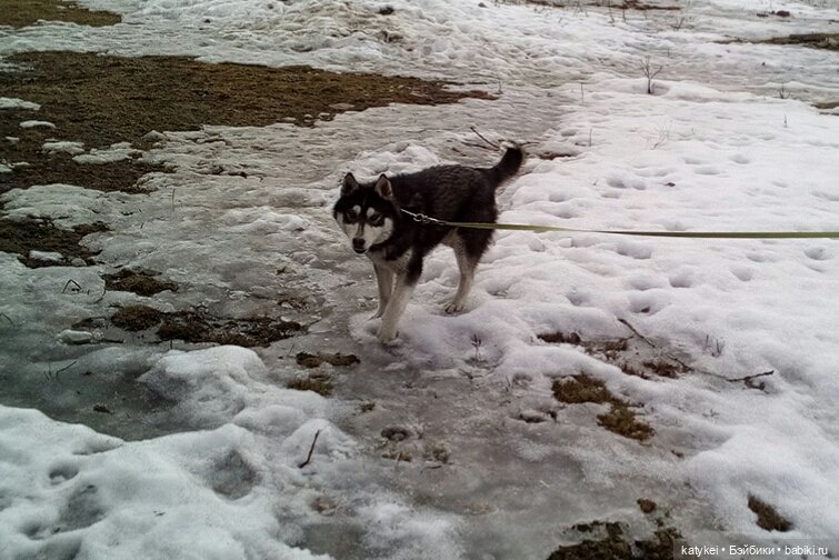 День Земли — Болталка и разговоры обо всем: жизнь (фото 8)