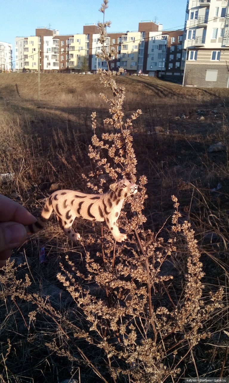День Земли — Болталка и разговоры обо всем: жизнь