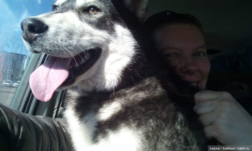 День Земли — Болталка и разговоры обо всем: жизнь (фото 7)