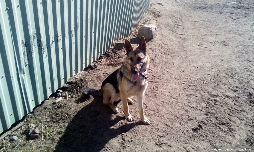 День Земли — Болталка и разговоры обо всем: жизнь (фото 10)