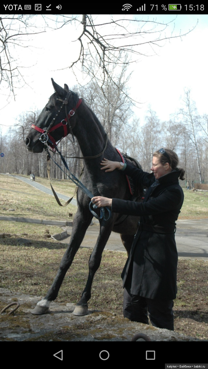 Конь (9 мая) — Болталка и разговоры обо всем: жизнь (фото 2)
