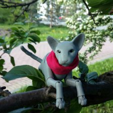 Занимательная ботаника с Кварком