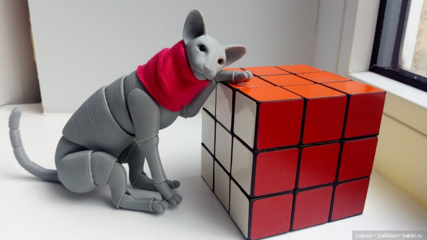 Расхомяк и энтропия с Кварком | Бэйбики Расхомяк и энтропия с Кварком