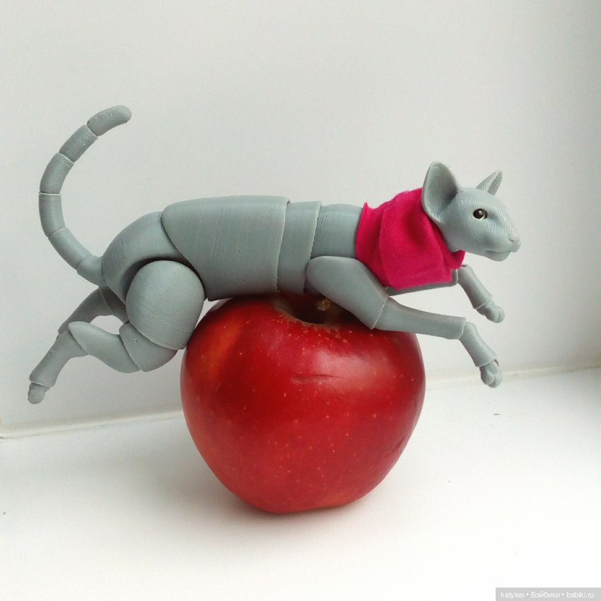 Расхомяк и энтропия с Кварком | Бэйбики Расхомяк и энтропия с Кварком