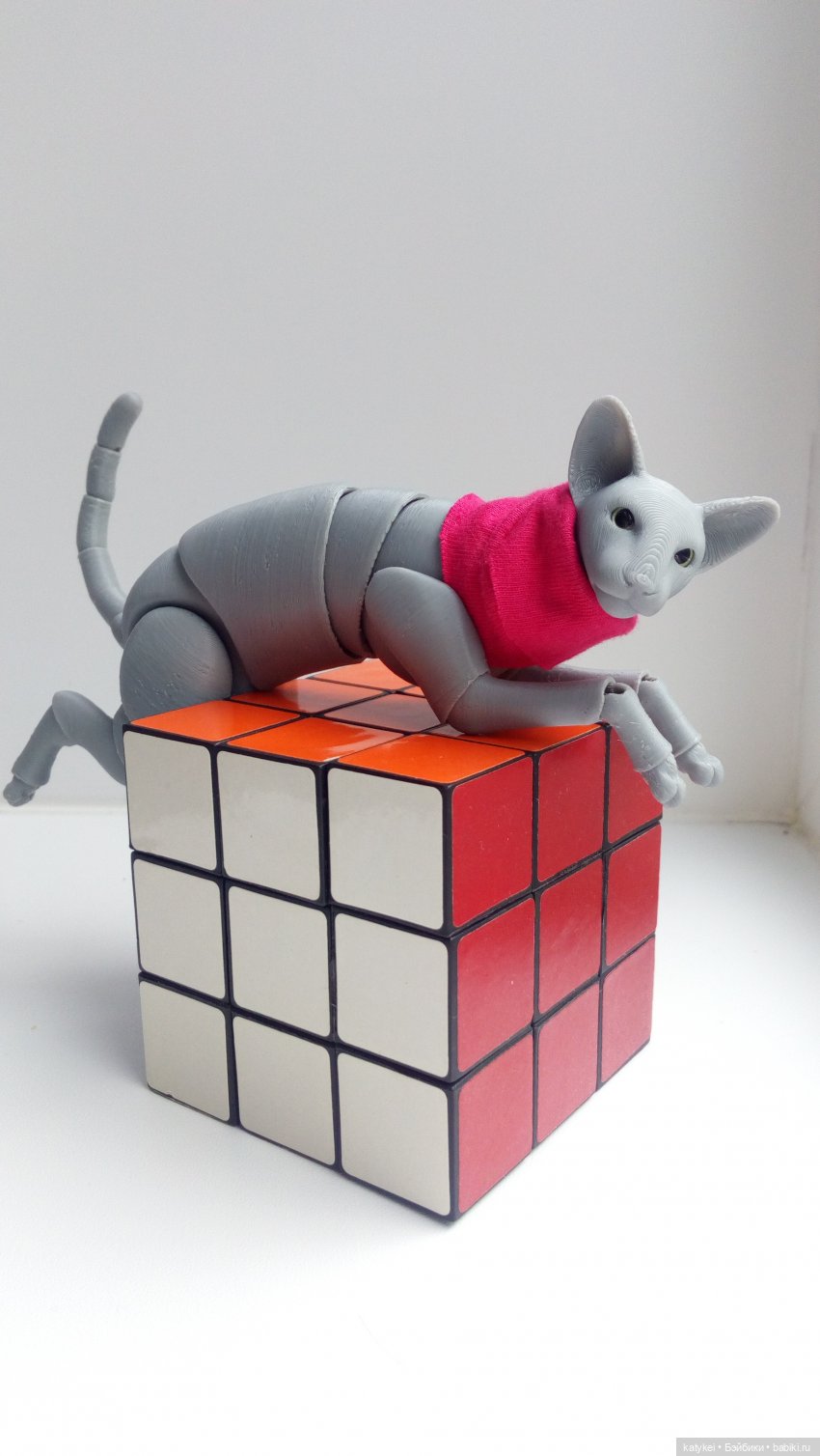 Расхомяк и энтропия с Кварком | Бэйбики Расхомяк и энтропия с Кварком