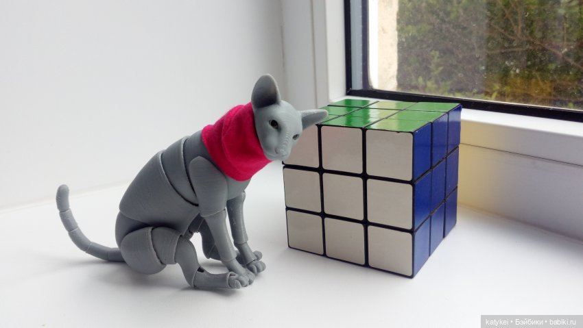 Расхомяк и энтропия с Кварком | Бэйбики Расхомяк и энтропия с Кварком (фото 5)