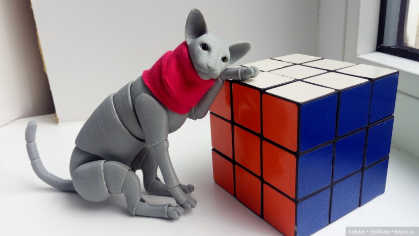 Расхомяк и энтропия с Кварком | Бэйбики Расхомяк и энтропия с Кварком (фото 9)