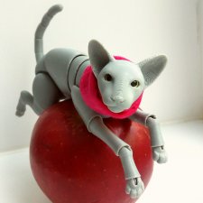 Расхомяк и энтропия с Кварком