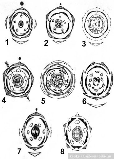 Занимательная ботаника с Кварком
