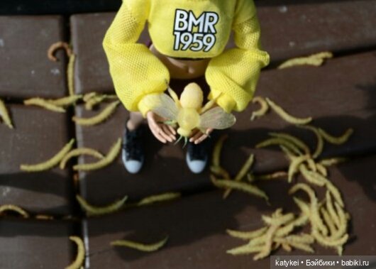 Занимательная ботаника с Кварком