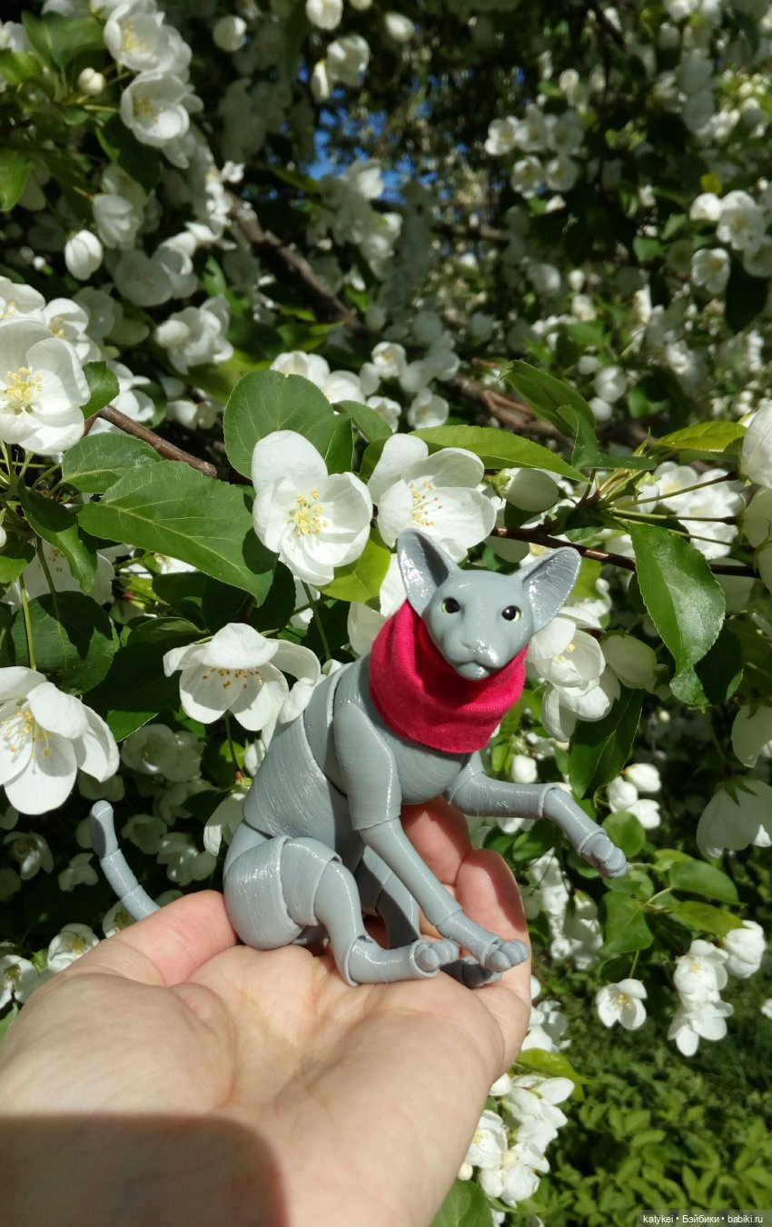 Занимательная ботаника с Кварком (фото 6)