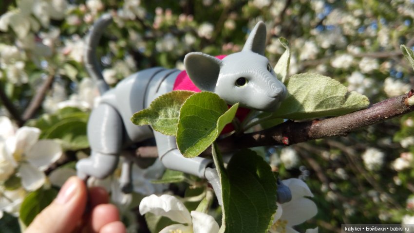 Занимательная ботаника с Кварком (фото 7)