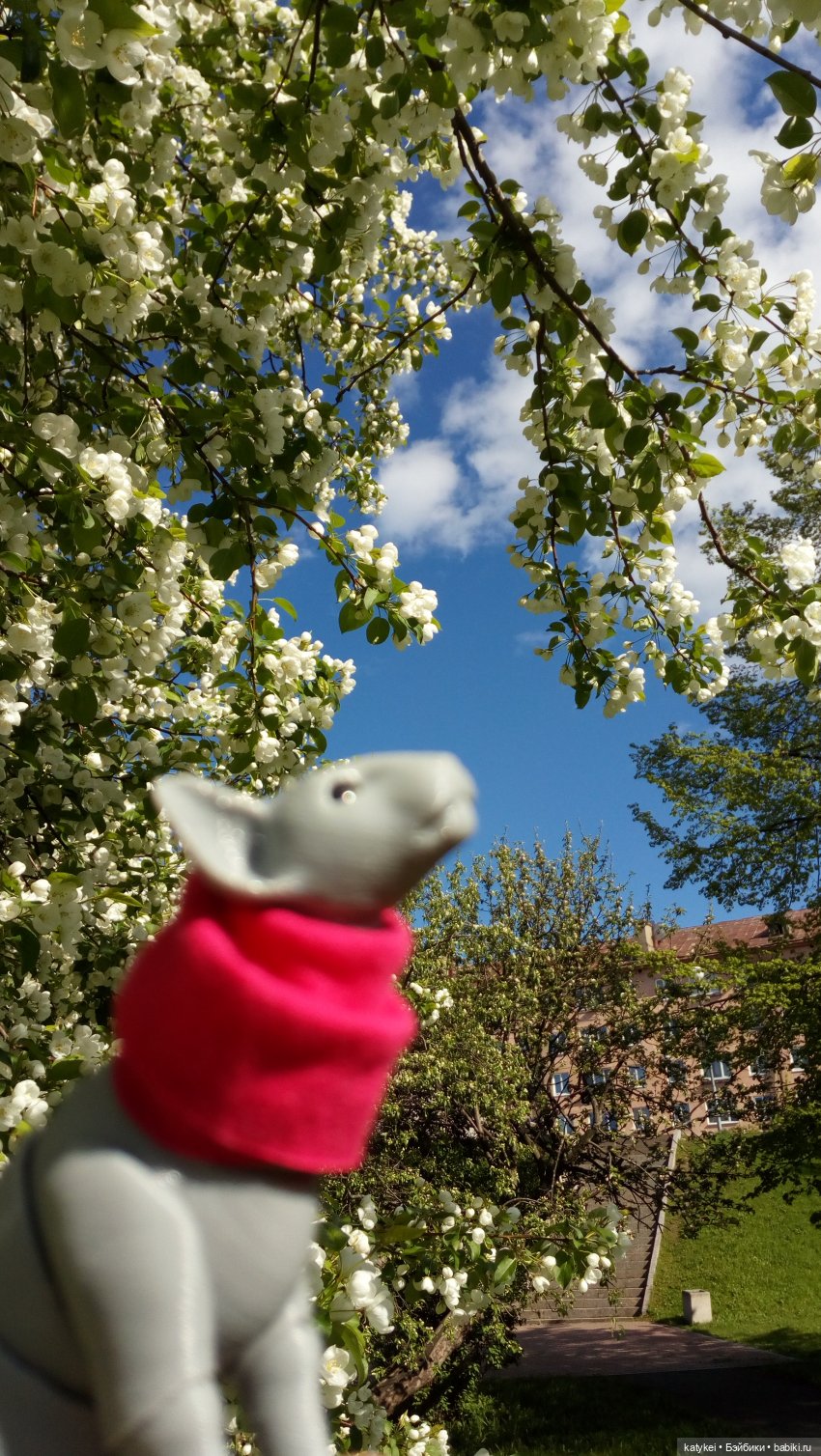 Занимательная ботаника с Кварком (фото 10)