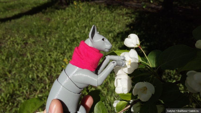 Занимательная ботаника с Кварком (фото 8)