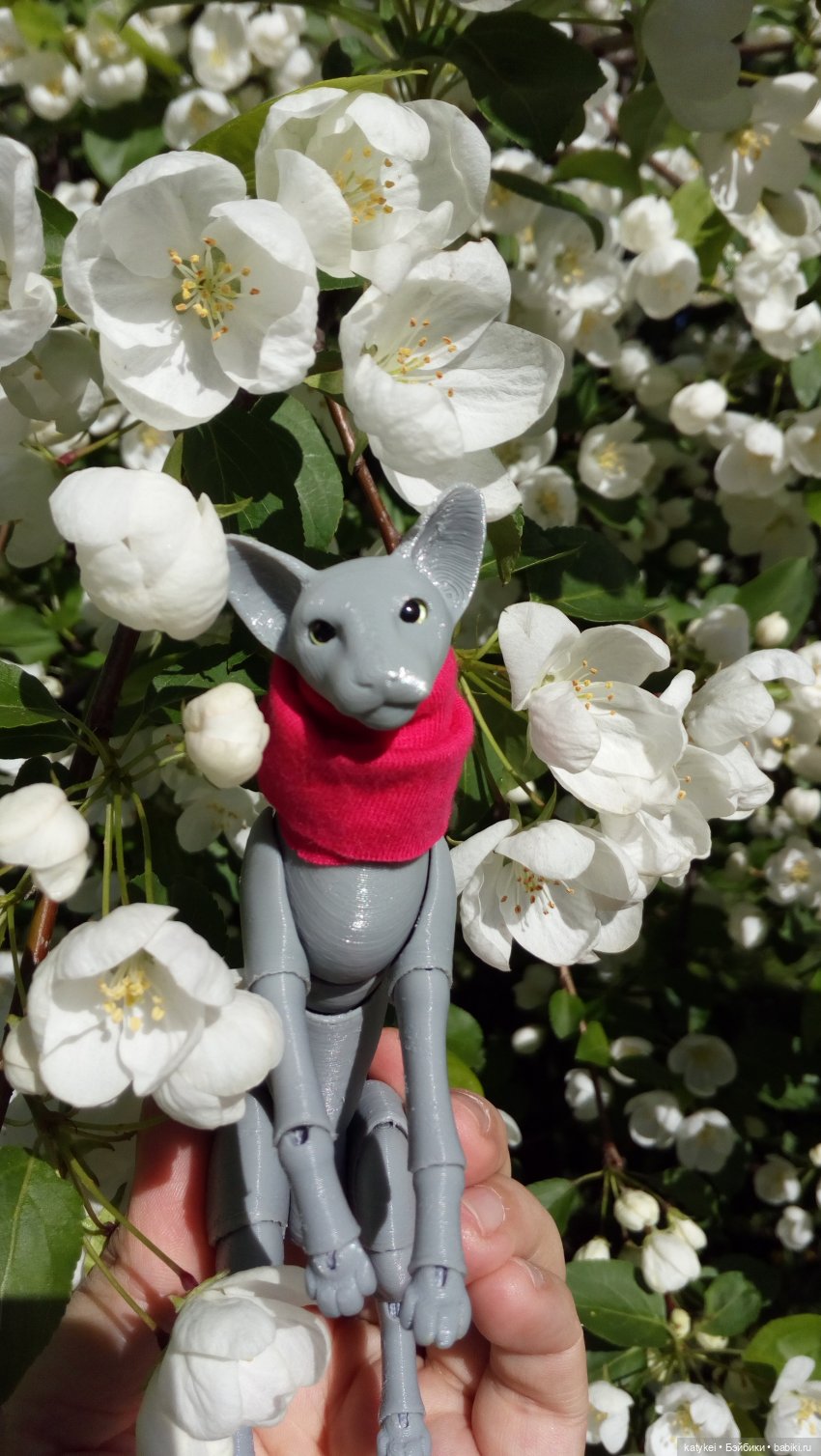 Занимательная ботаника с Кварком