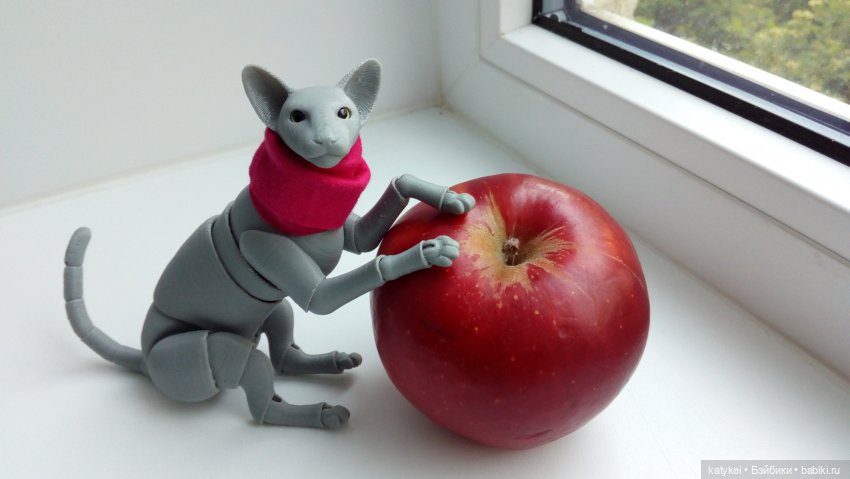 Занимательная ботаника с Кварком (фото 2)